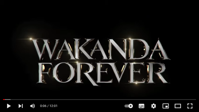 Read more about the article Black Panther – Wakanda forever